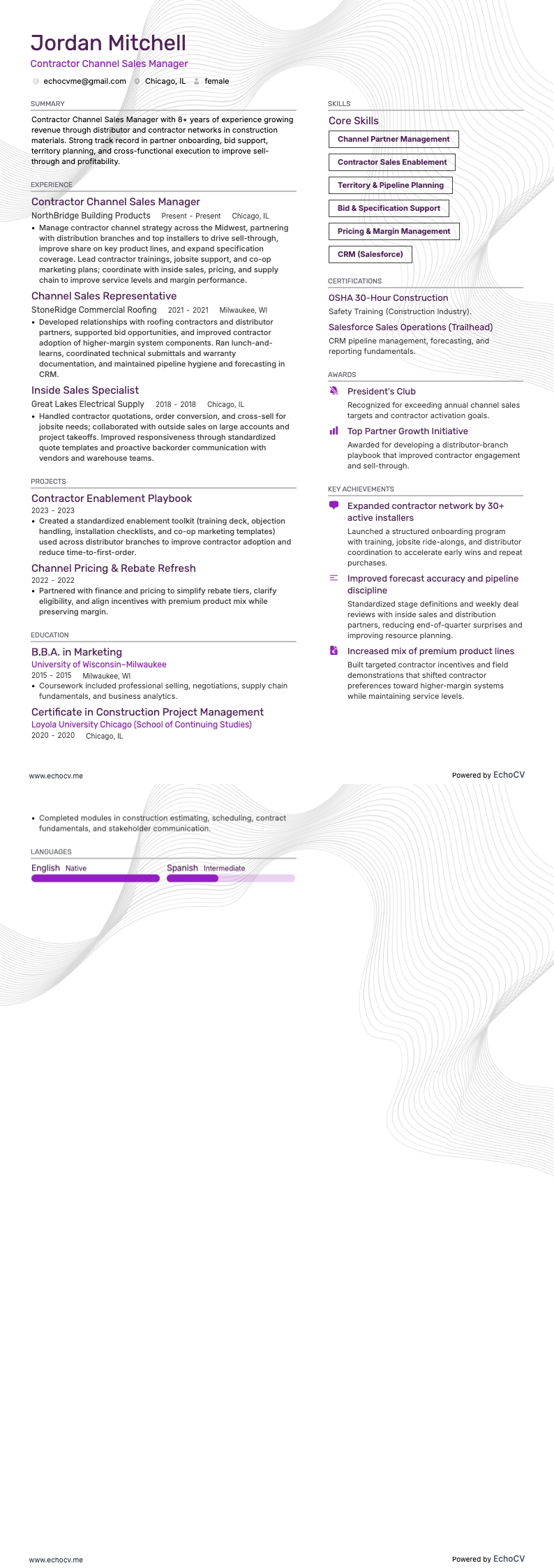 계약업체 채널 영업 관리자 example resume