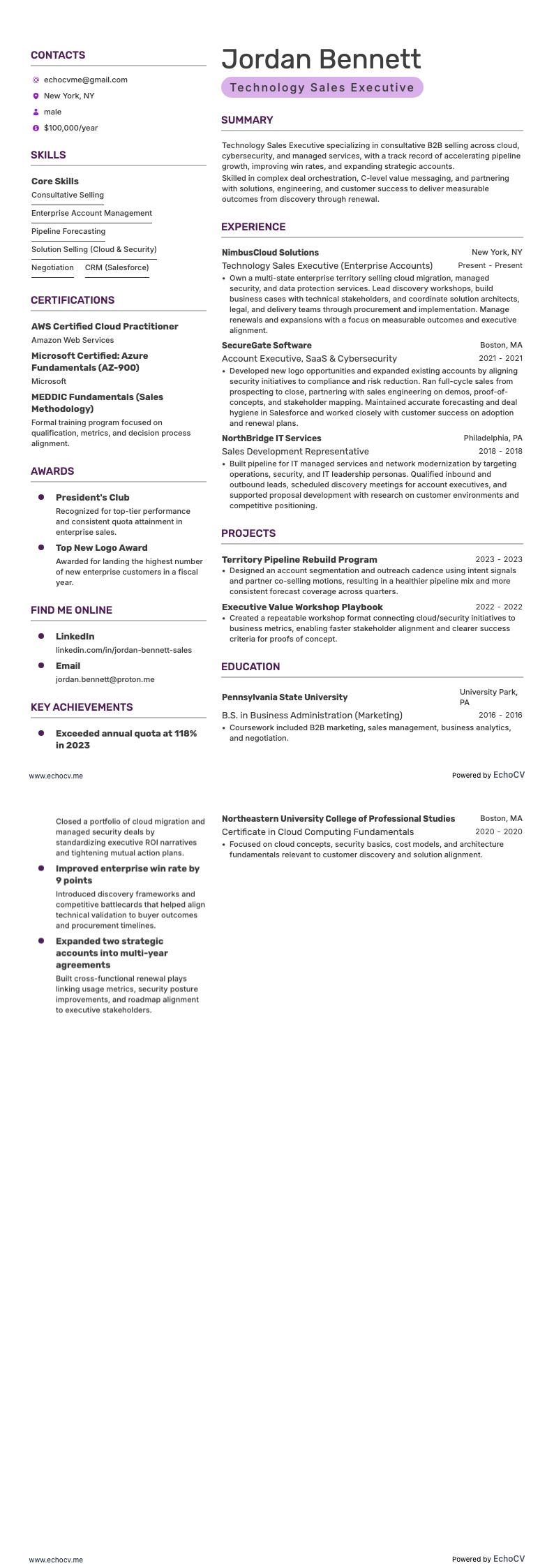 Giám đốc kinh doanh công nghệ example resume