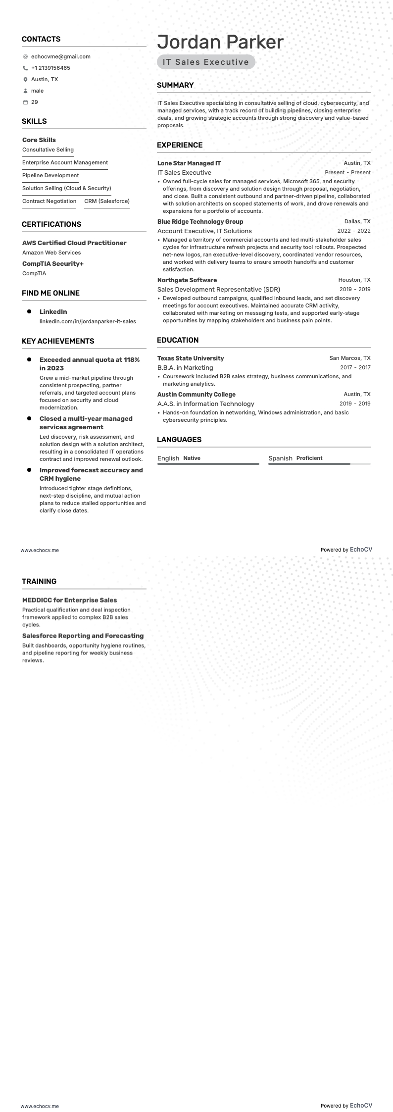 Chuyên viên kinh doanh CNTT example resume