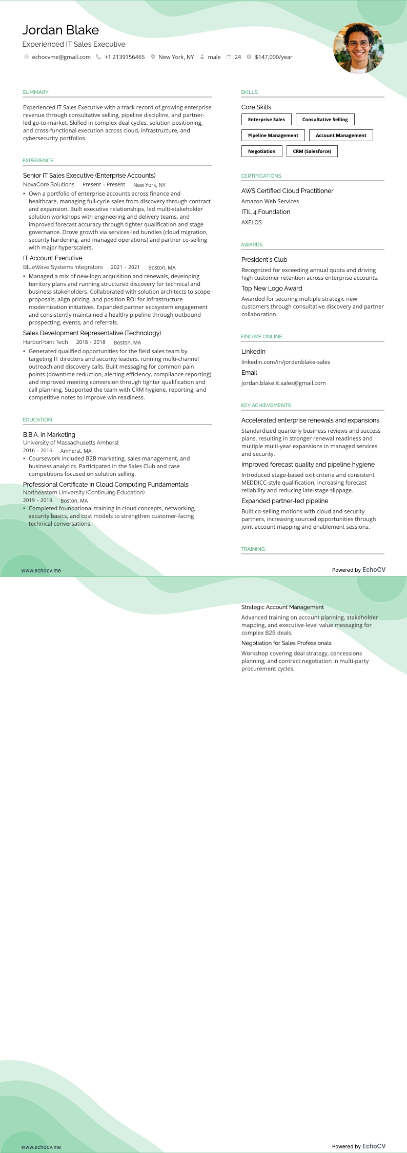 Giám đốc kinh doanh CNTT resume example