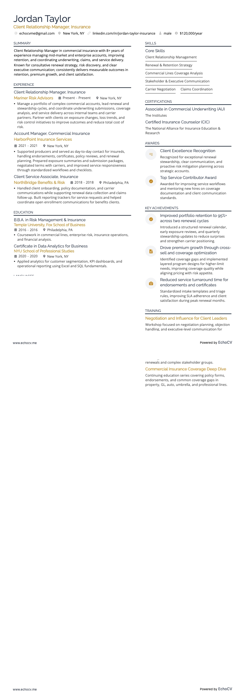 Manager klantrelaties, Verzekeringen example resume