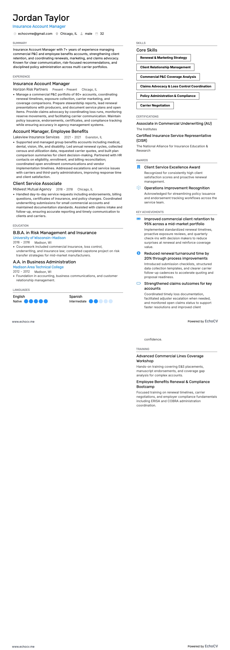 保険アカウントマネージャー resume example