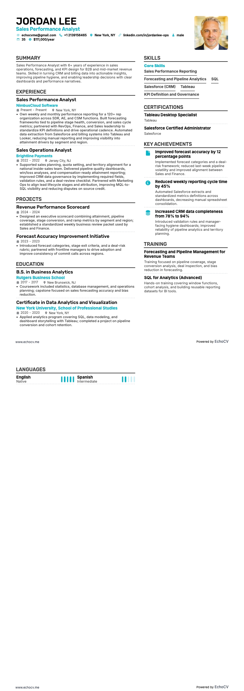 销售运营分析师 resume example