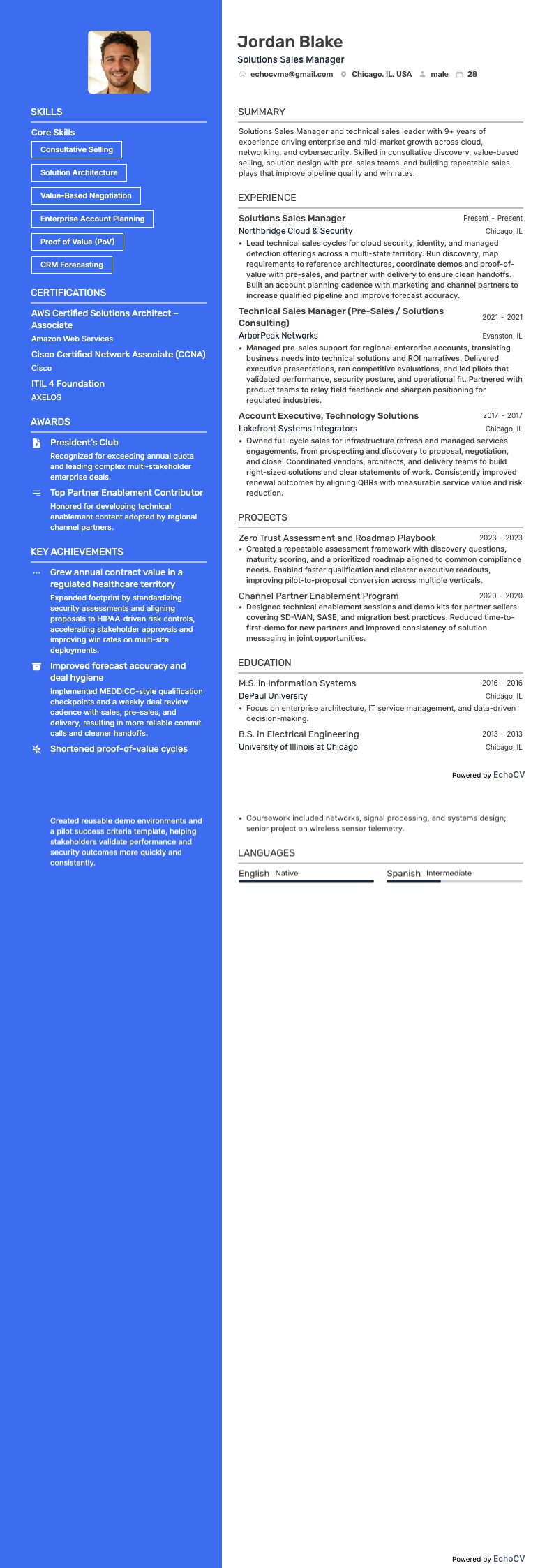 Responsabile vendite soluzioni example resume