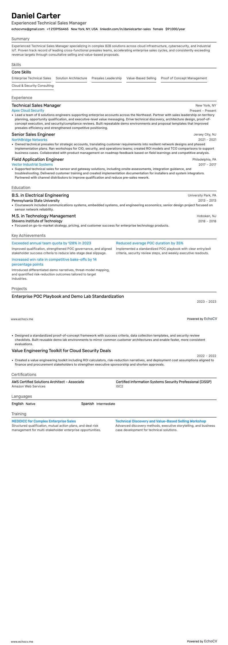 Responsabile vendite tecniche esperto resume example