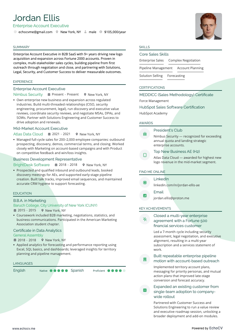 エンタープライズアカウントエグゼクティブ example resume