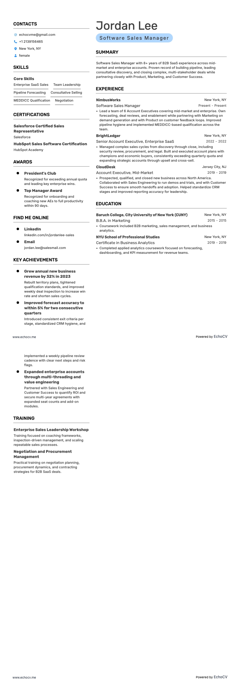 Software Sales Manager full preview