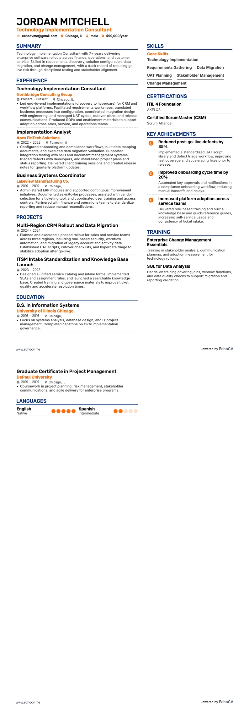 Technology Implementation Consultant example resume