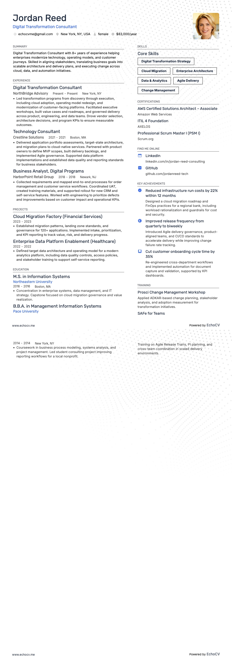 Digital Transformation Consultant example resume