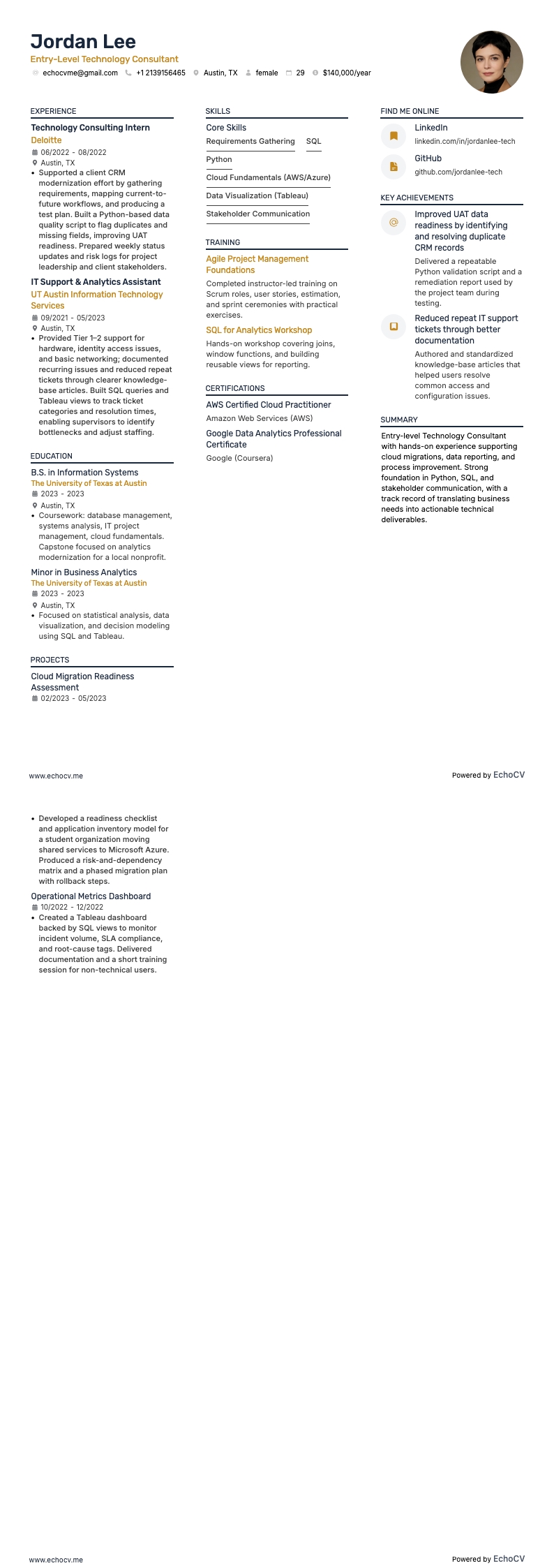 Entry-Level Technology Consultant example resume