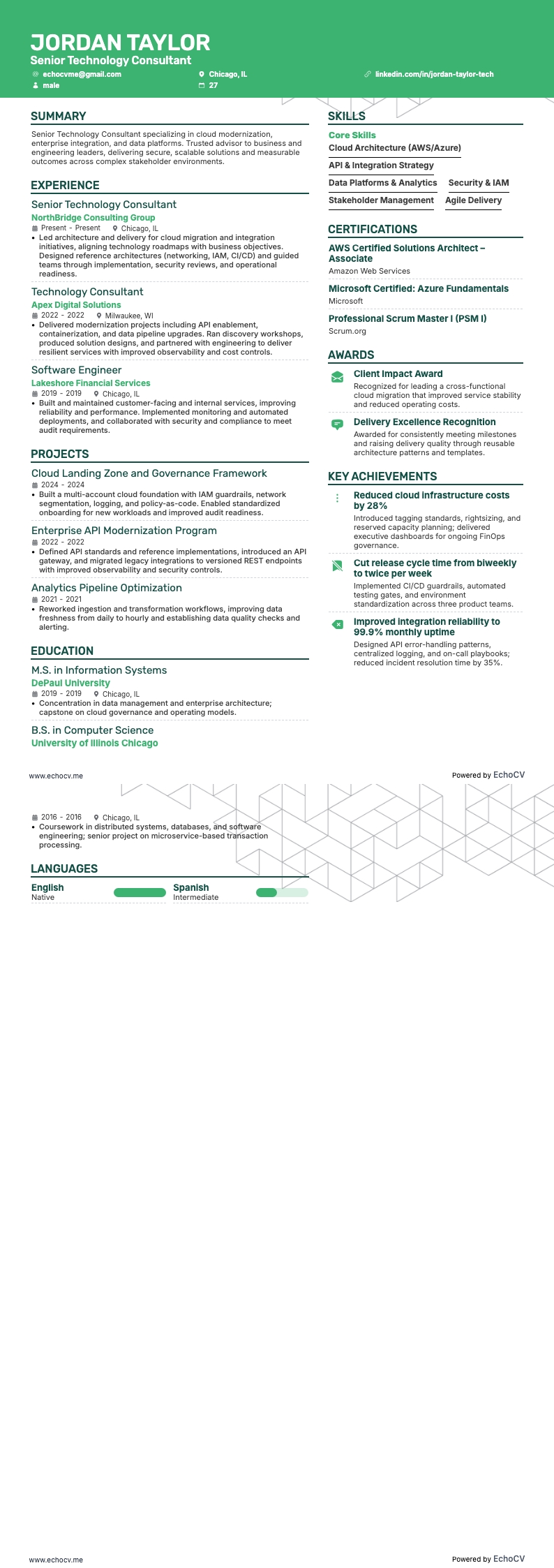 Senior Technology Consultant full preview