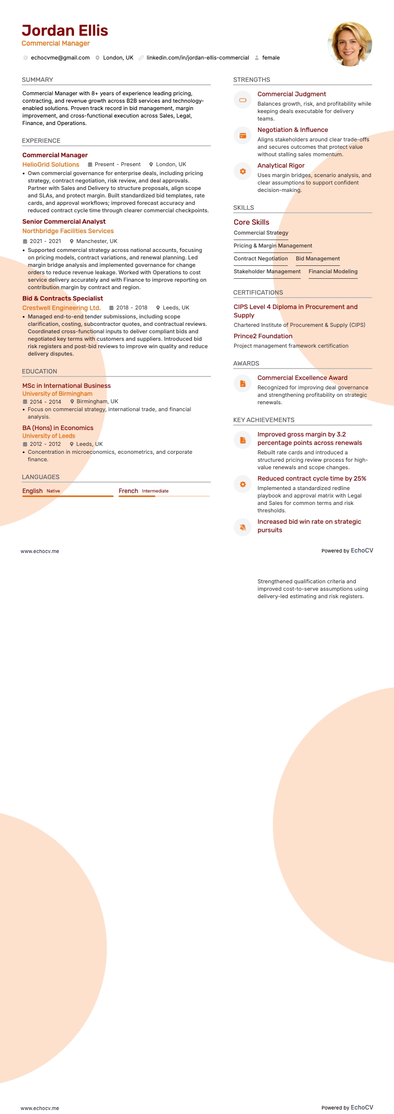 営業マネージャー example resume