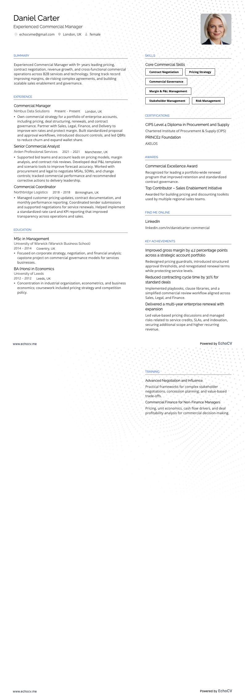 経験豊富な営業マネージャー example resume