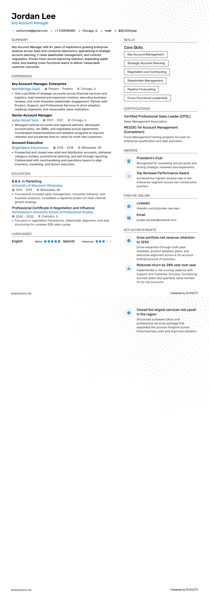 Key Account Manager example resume