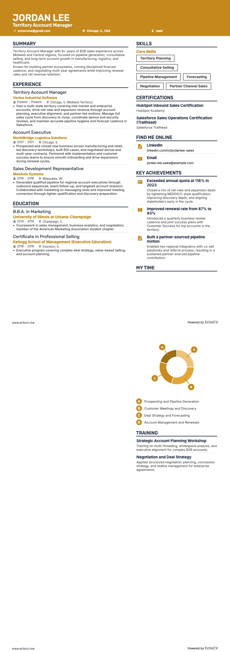 Territory Account Manager example resume