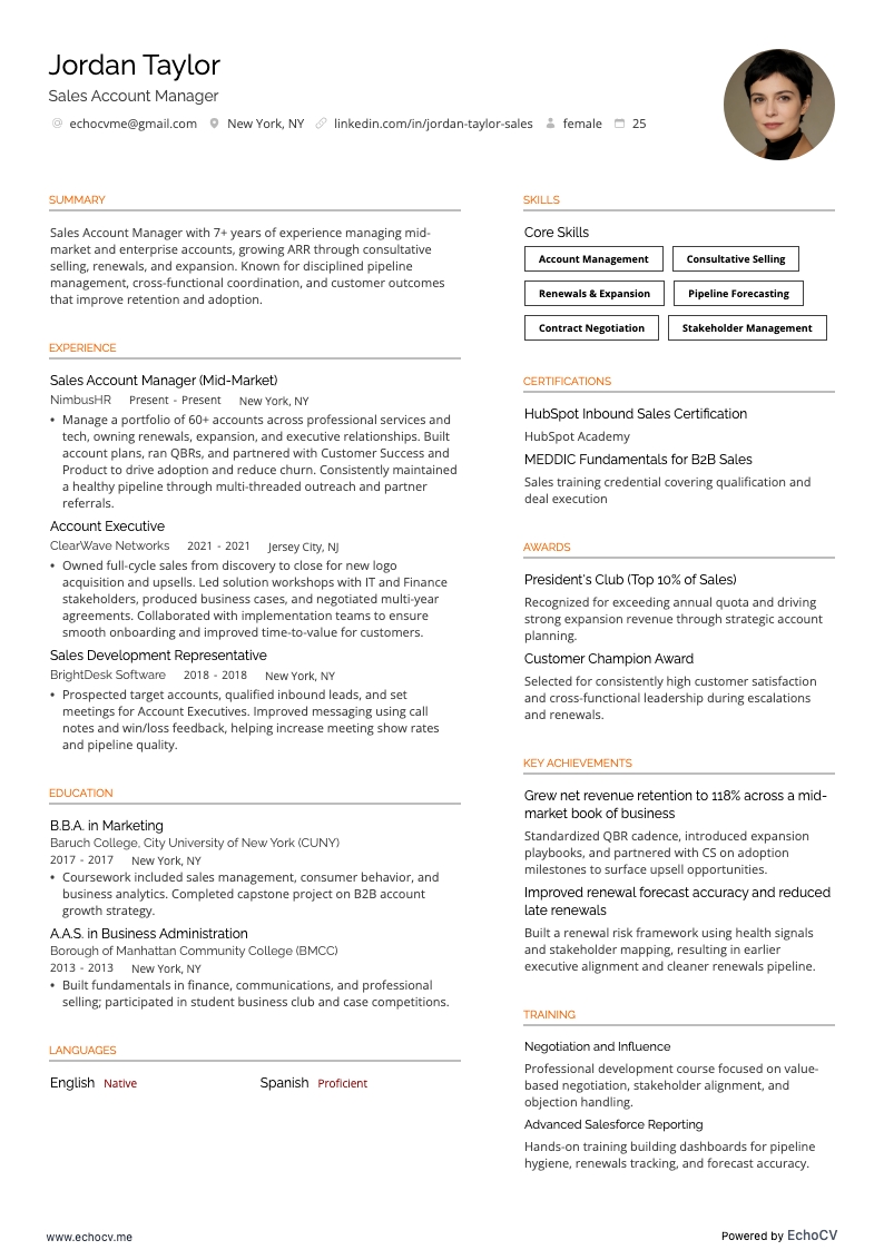 Sales Account Manager example resume