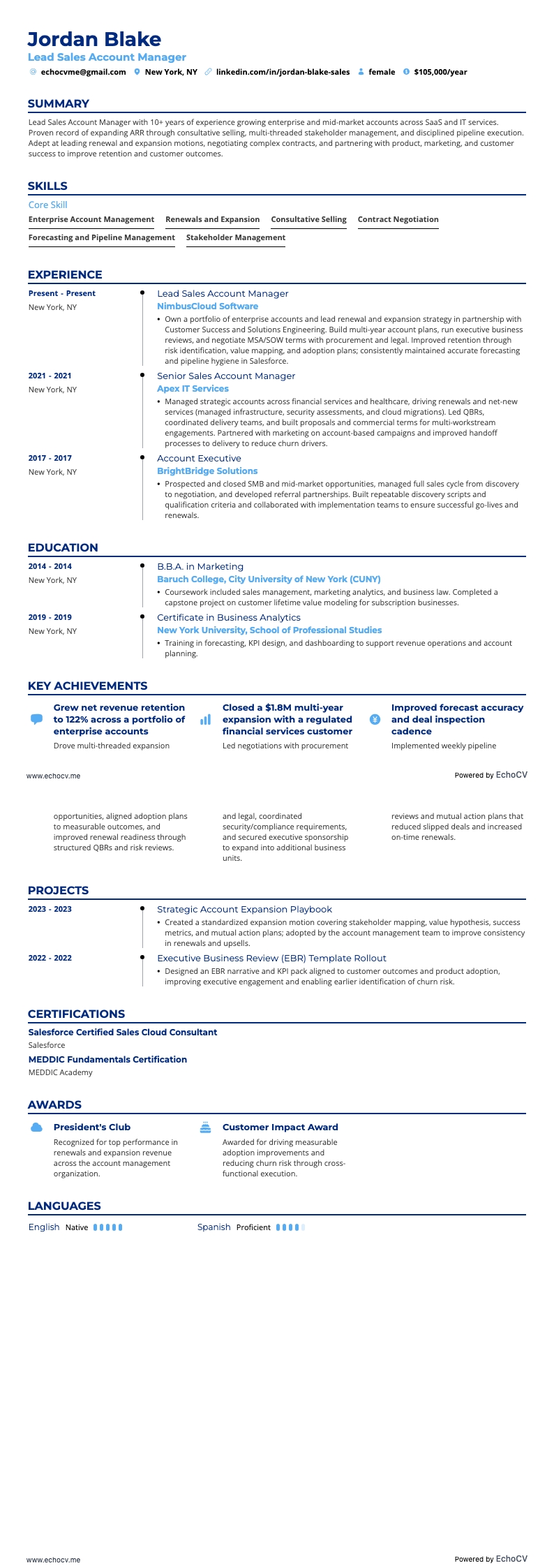 Lead Sales Account Manager example resume