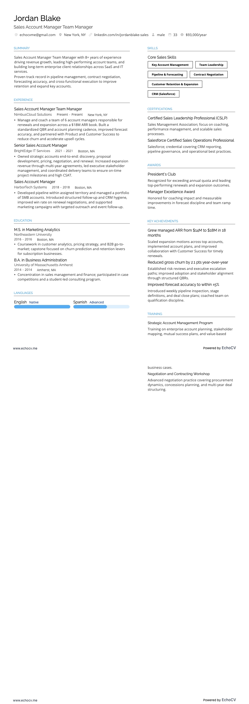 Sales Account Manager Team Manager full preview