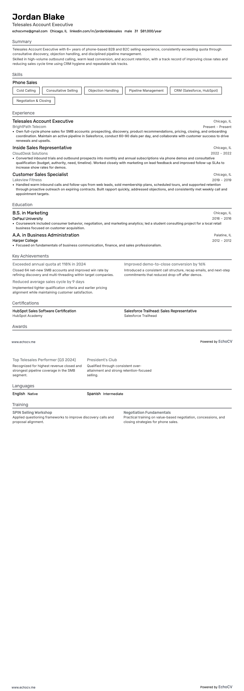 Telesales Account Executive example resume