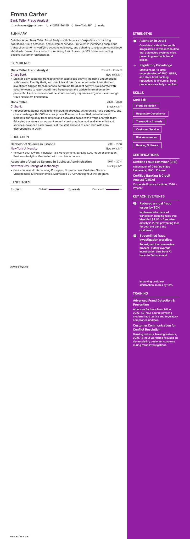 Bank Teller Fraud Analyst example resume