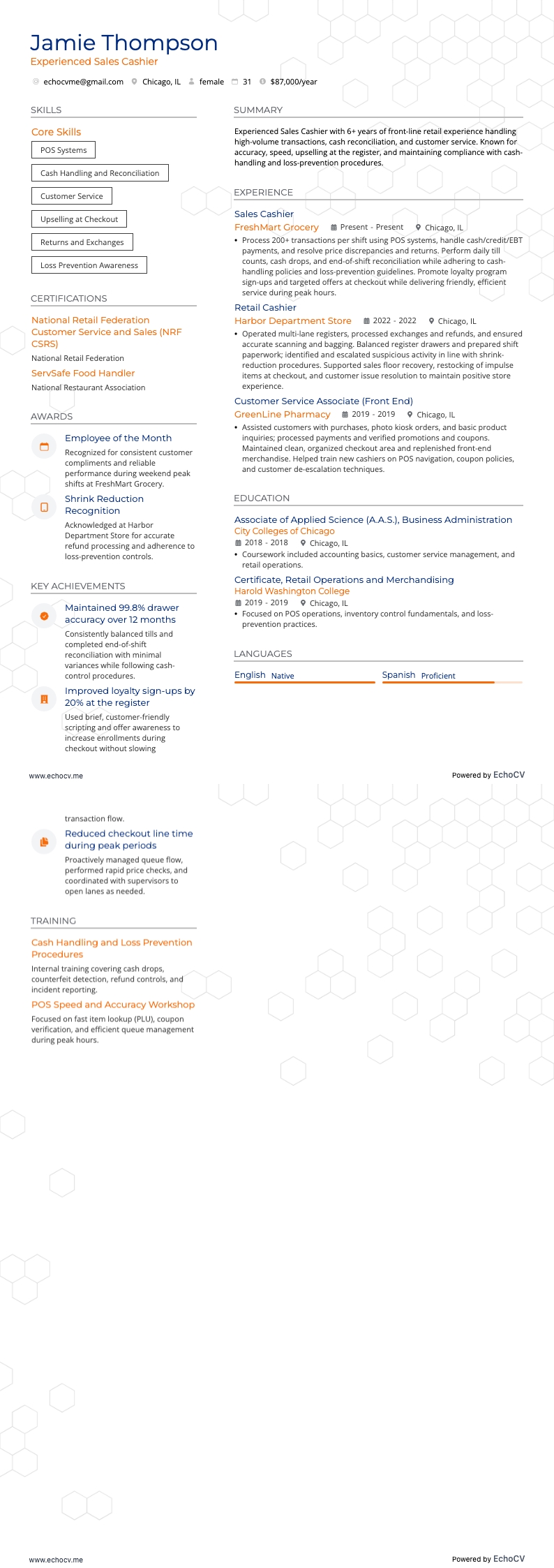 Experienced Sales Cashier full preview