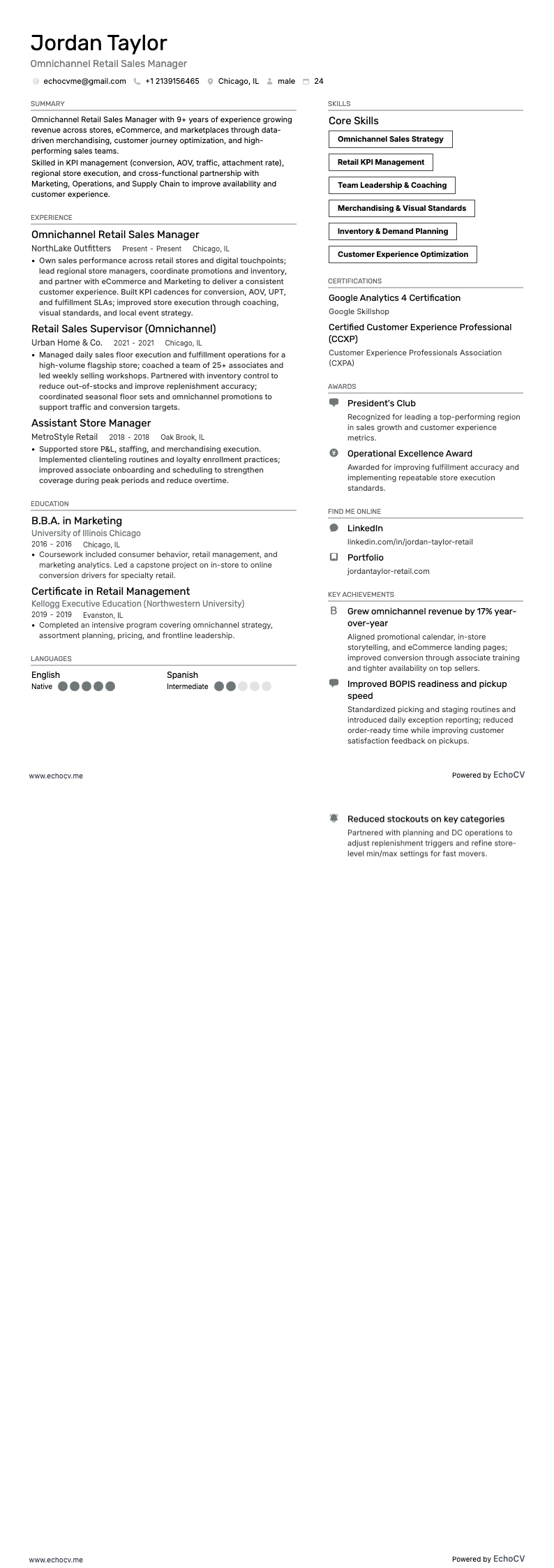 Omnichannel Retail Sales Manager example resume