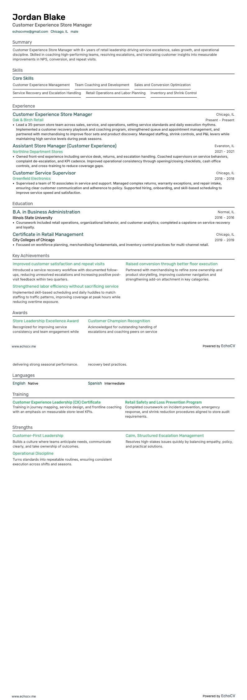 Customer Experience Store Manager example resume
