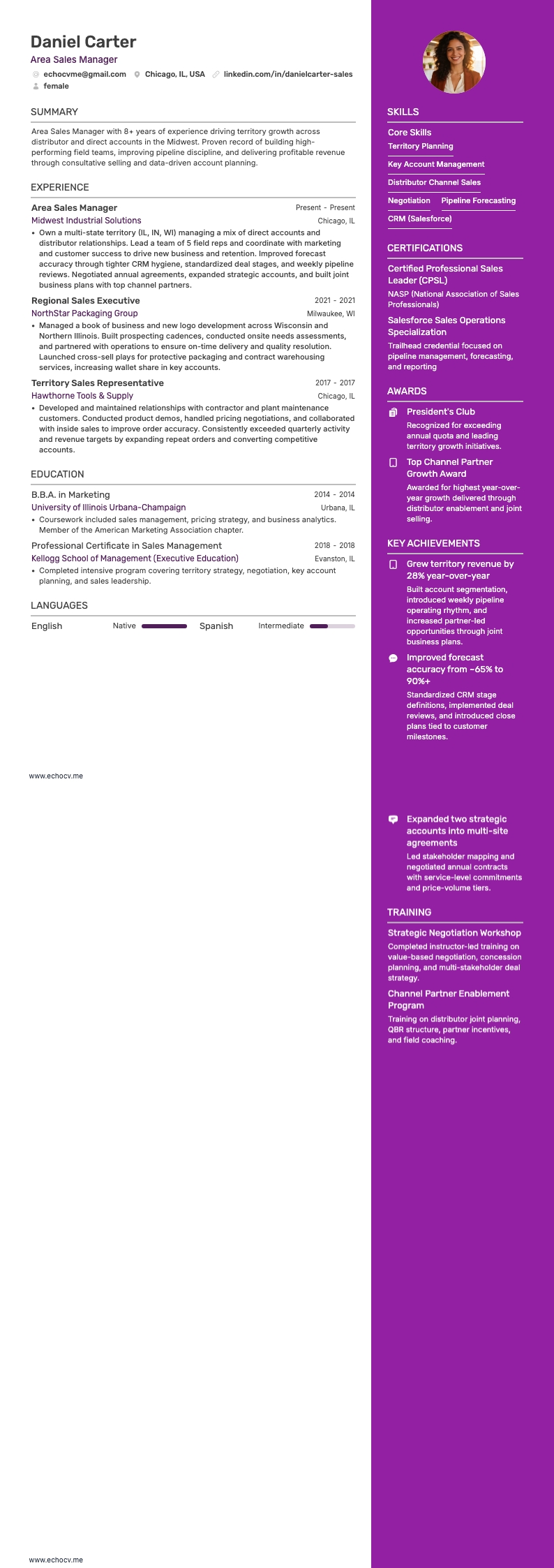 Gebietsverkaufsleiter example resume