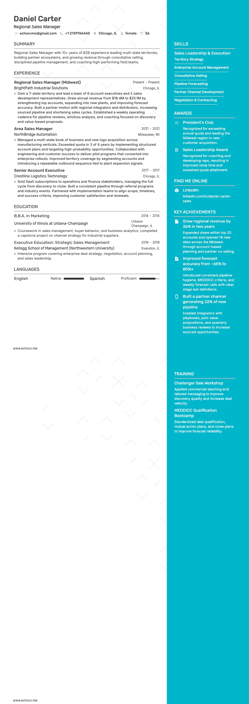 Regionaler Vertriebsleiter example resume