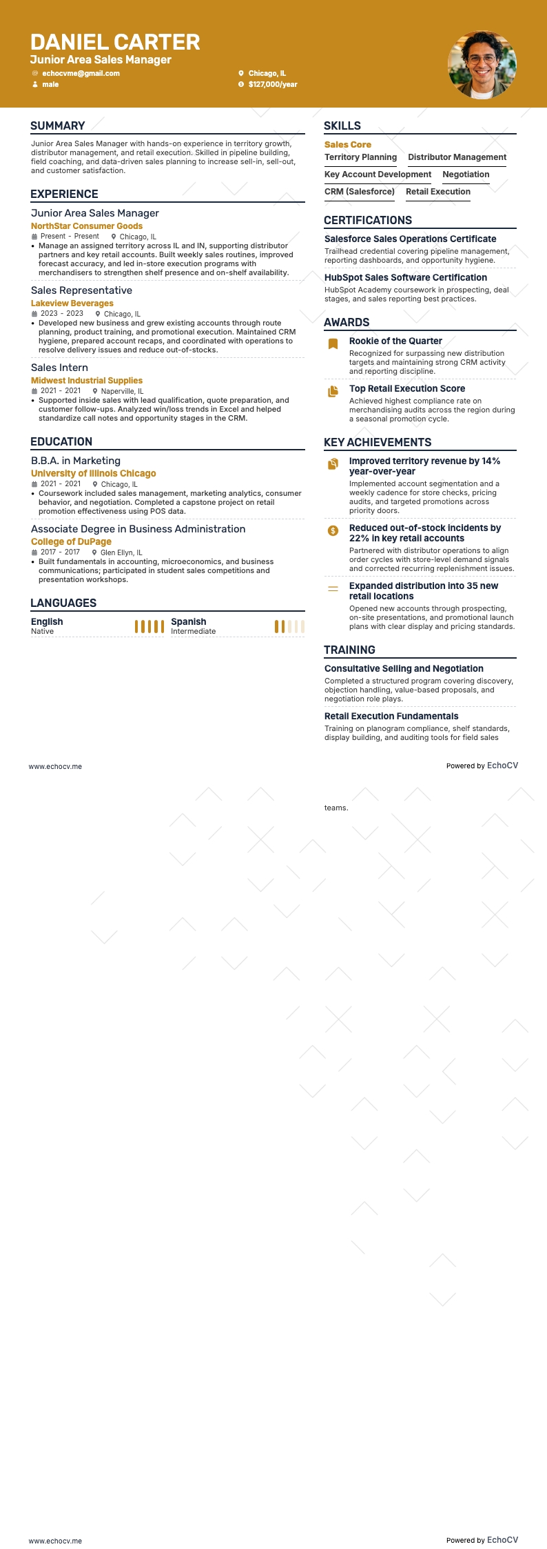 Junior Regionaler Vertriebsleiter example resume