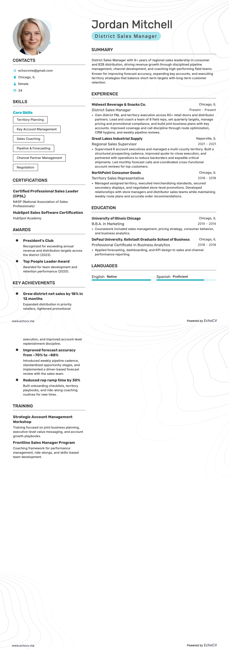 District Sales Manager example resume