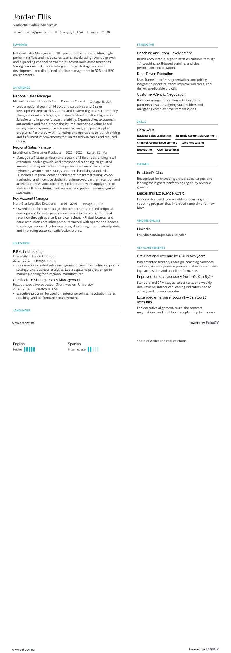 National Sales Manager example resume