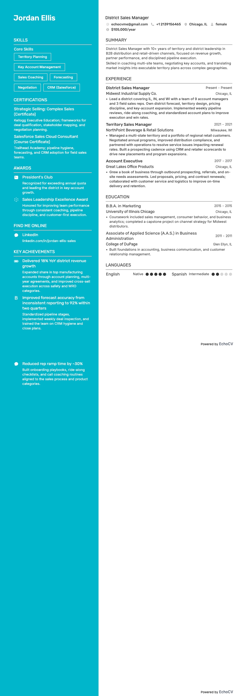 Distriktsförsäljningschef resume example