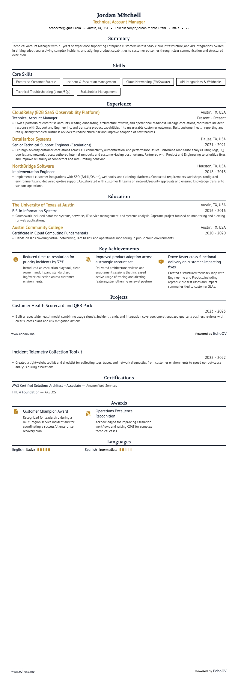 Technical Account Manager example resume