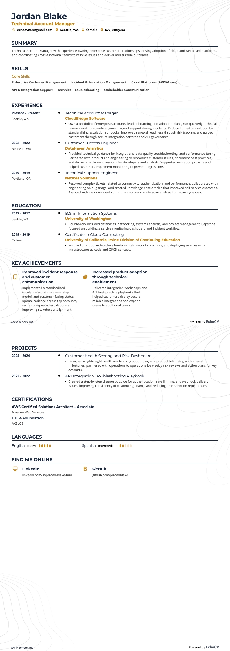 Technical Account Manager example resume
