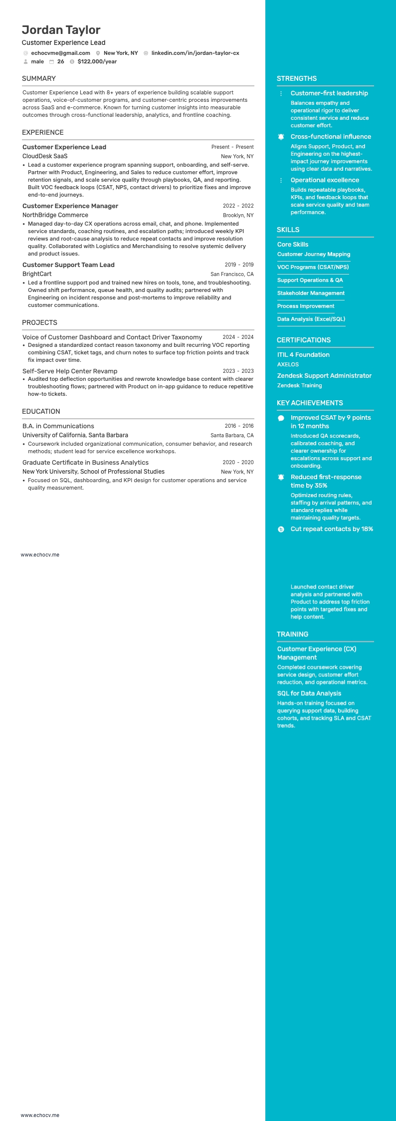 客戶體驗主管 example resume