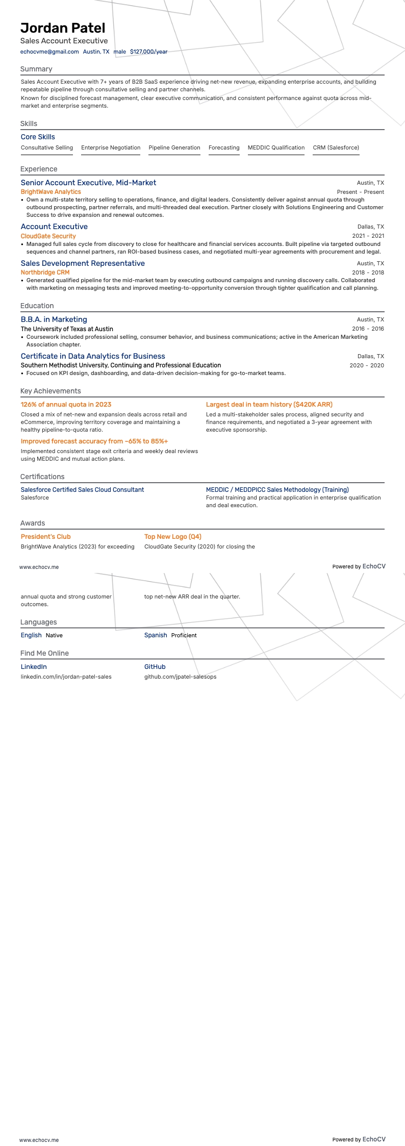 Sales Account Executive example resume