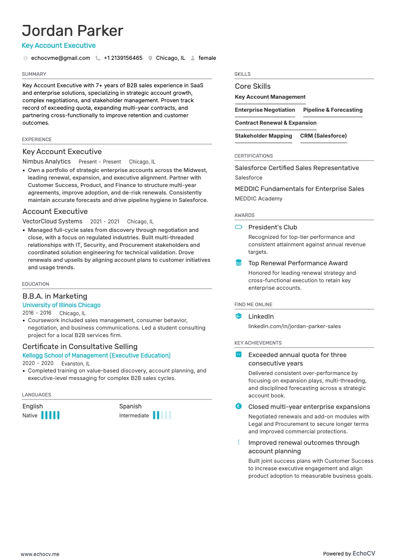 Key Account Executive example resume