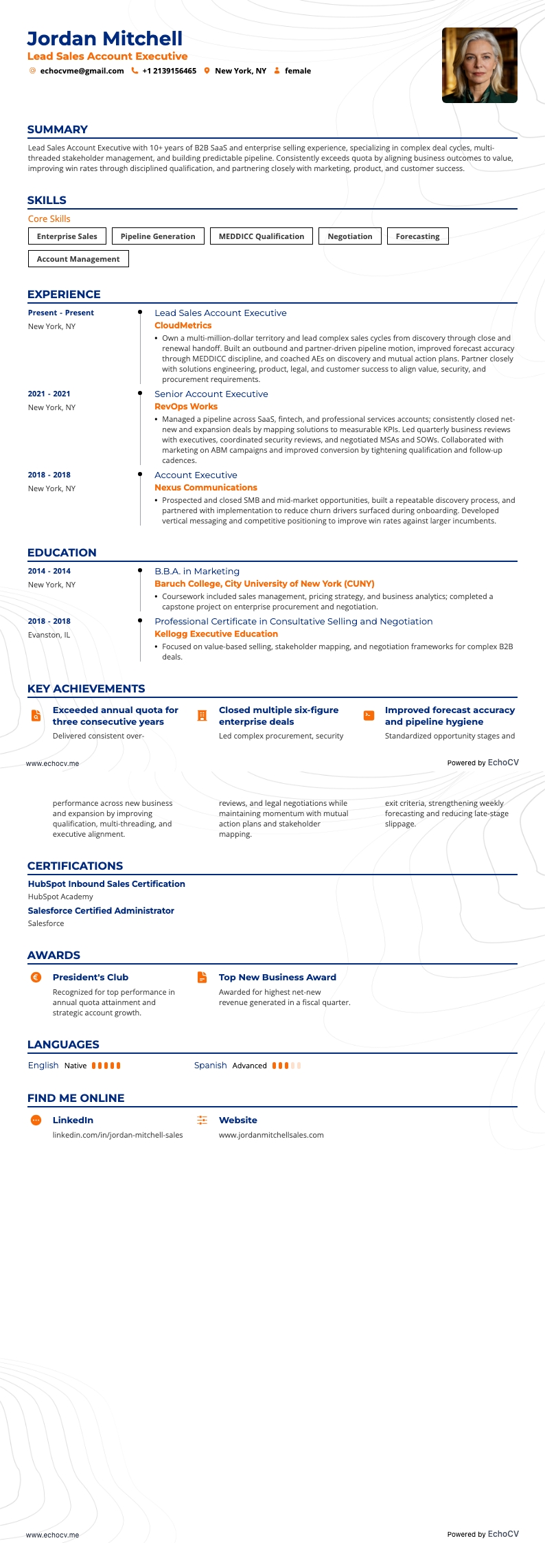 Lead Sales Account Executive resume example