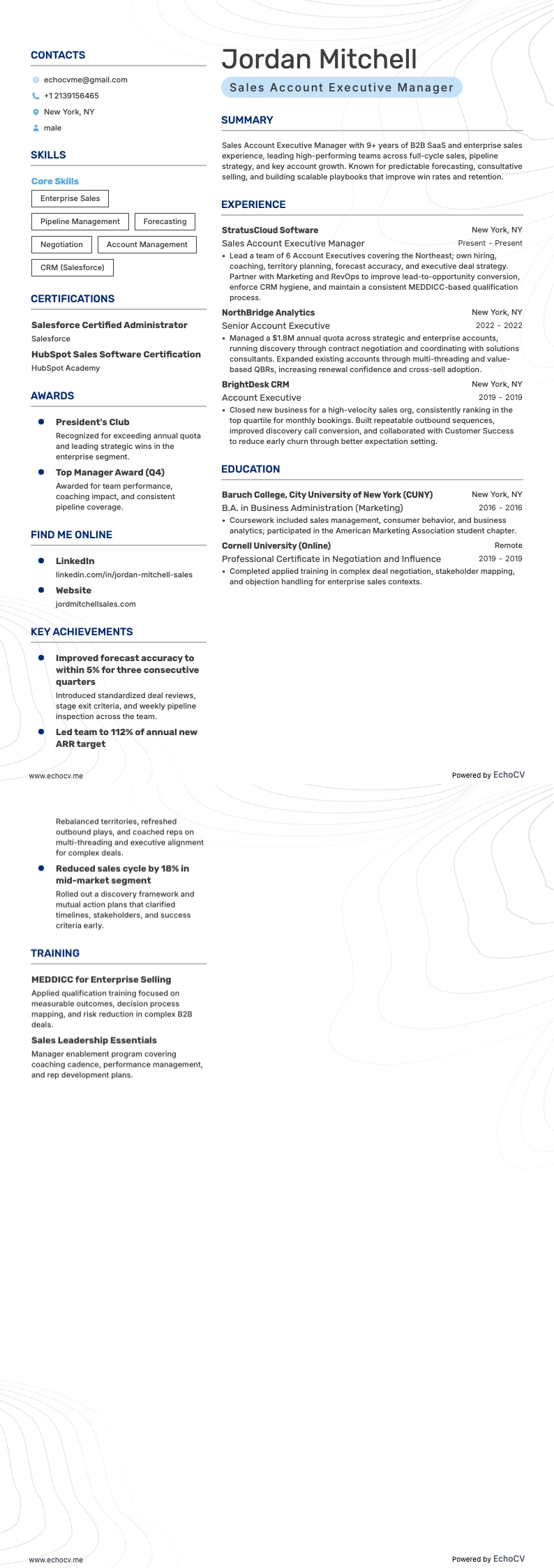 Sales Account Executive Manager full preview