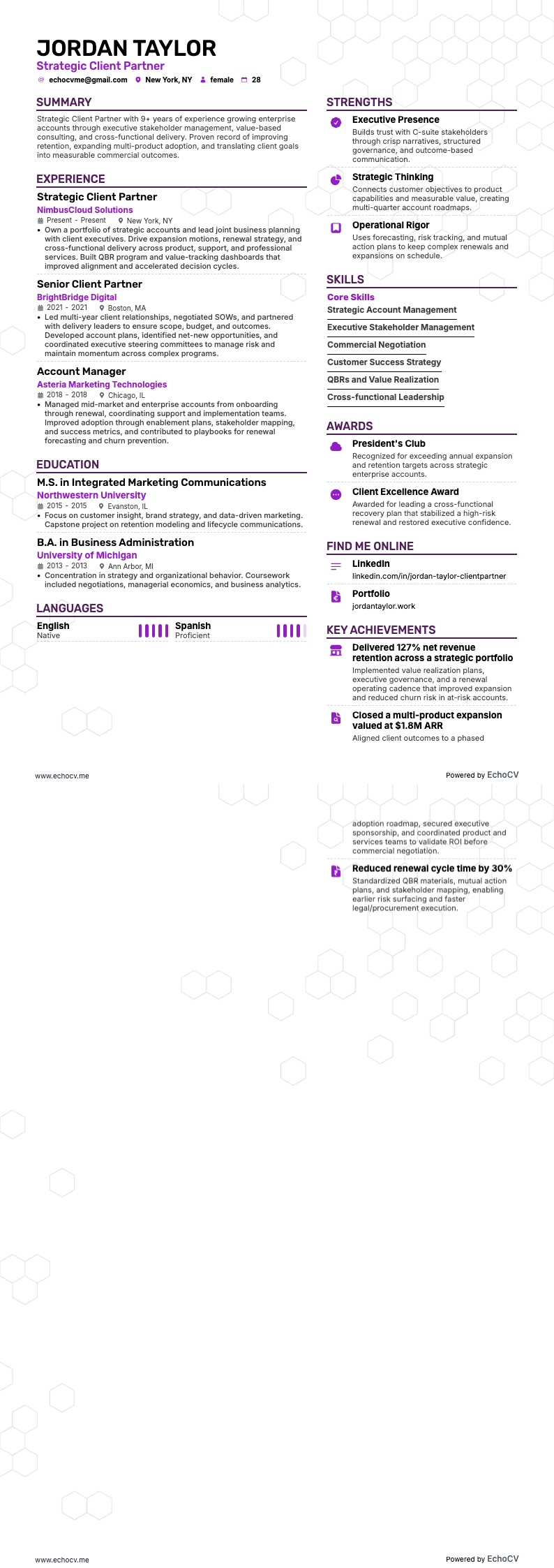 Strategic Client Partner example resume