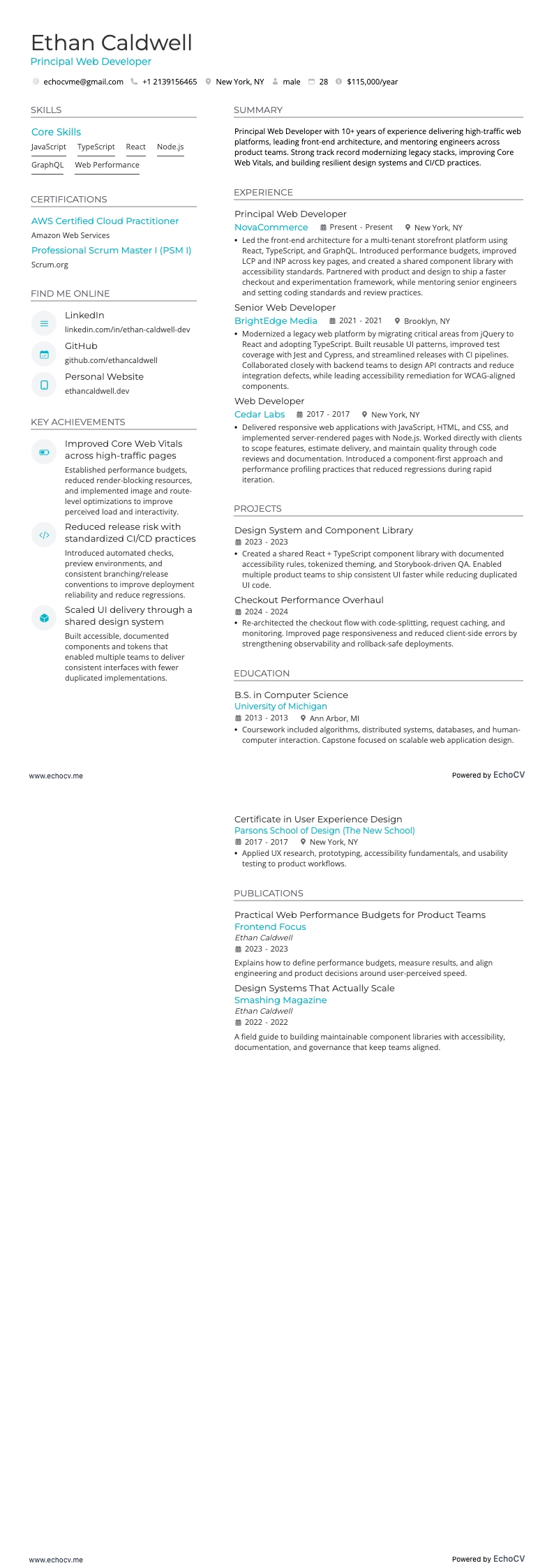 Développeur web principal resume example