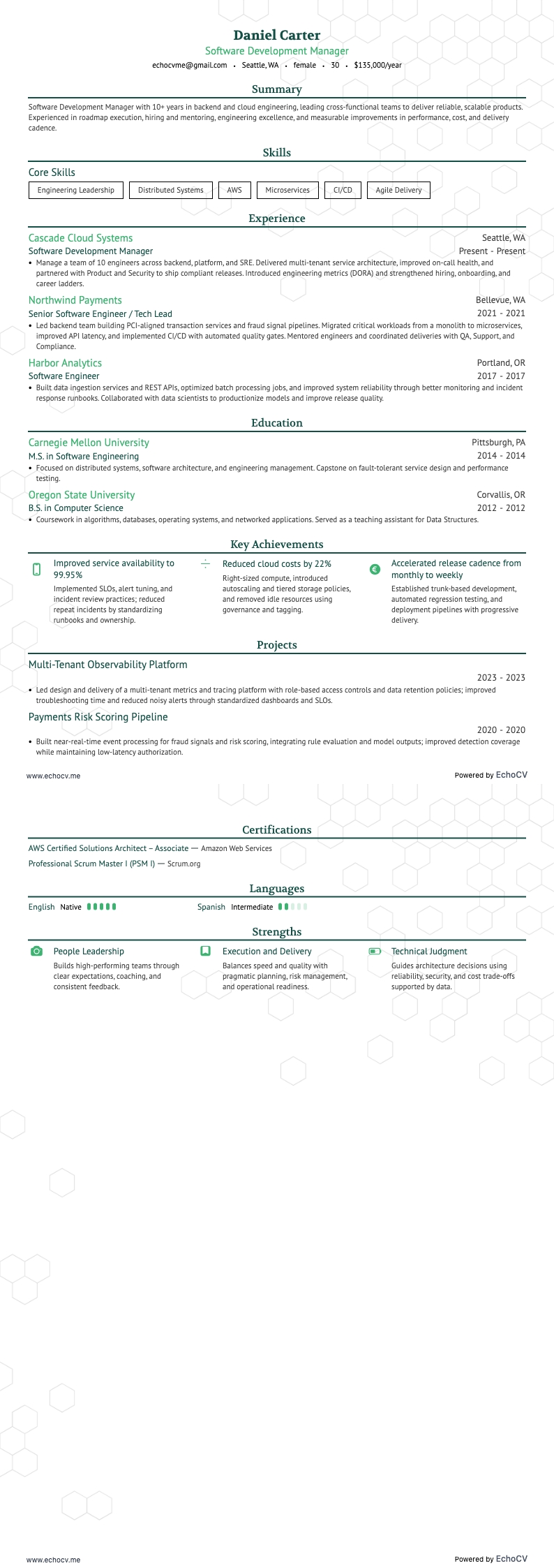 ソフトウェア開発マネージャー resume example