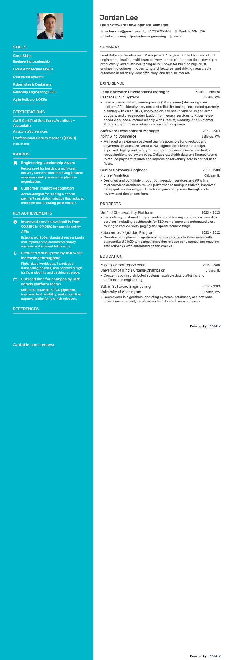 主任ソフトウェア開発マネージャー の全体プレビュー