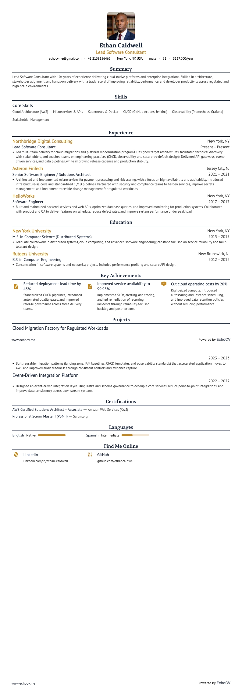 Lead Software Consultant example resume