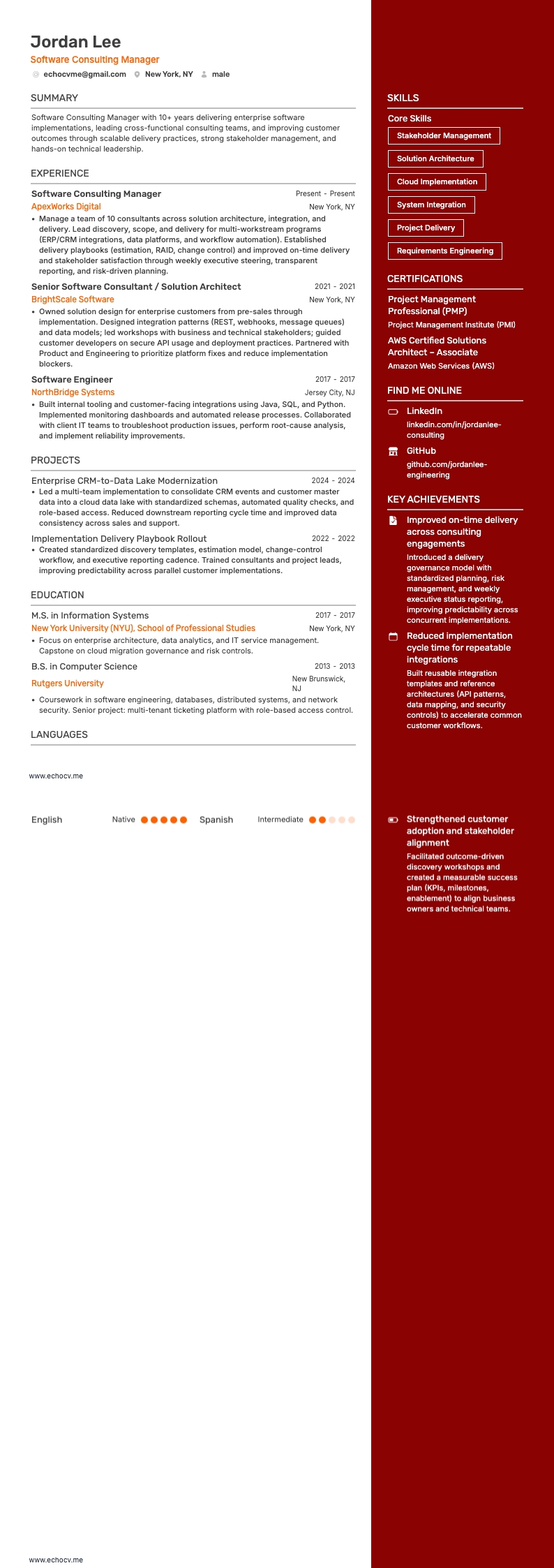 Manager Softwareberatung resume example