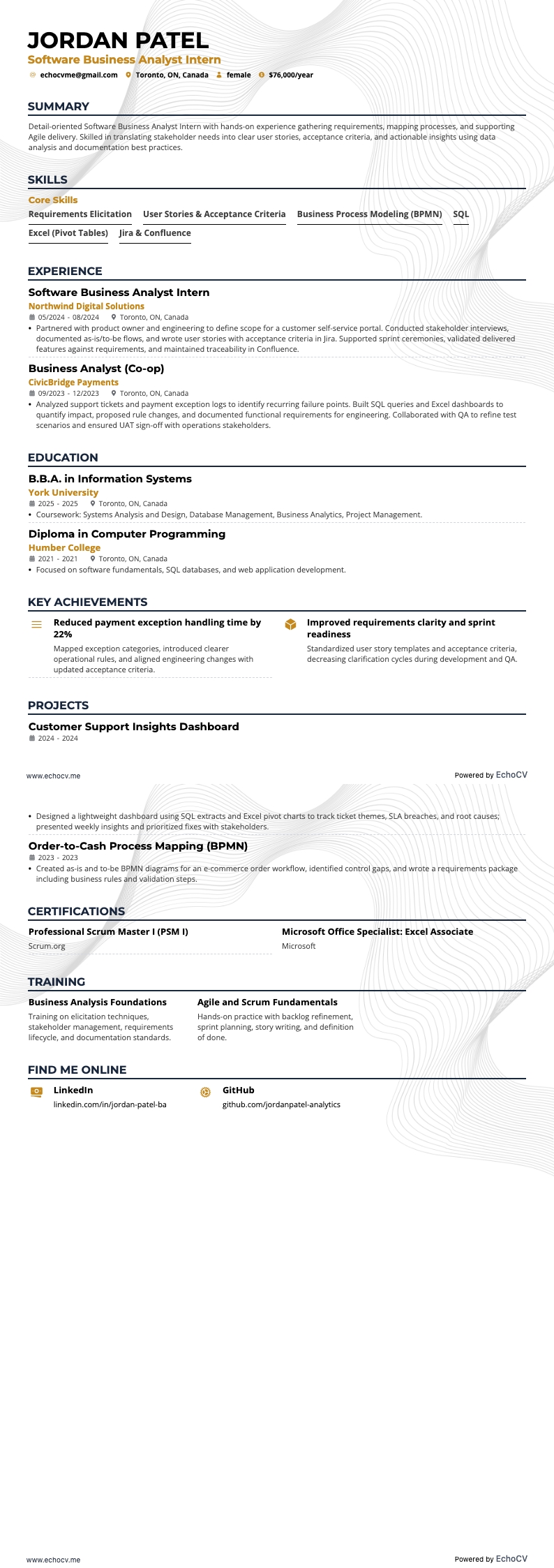 Estagiário de Analista de Negócios de Software example resume