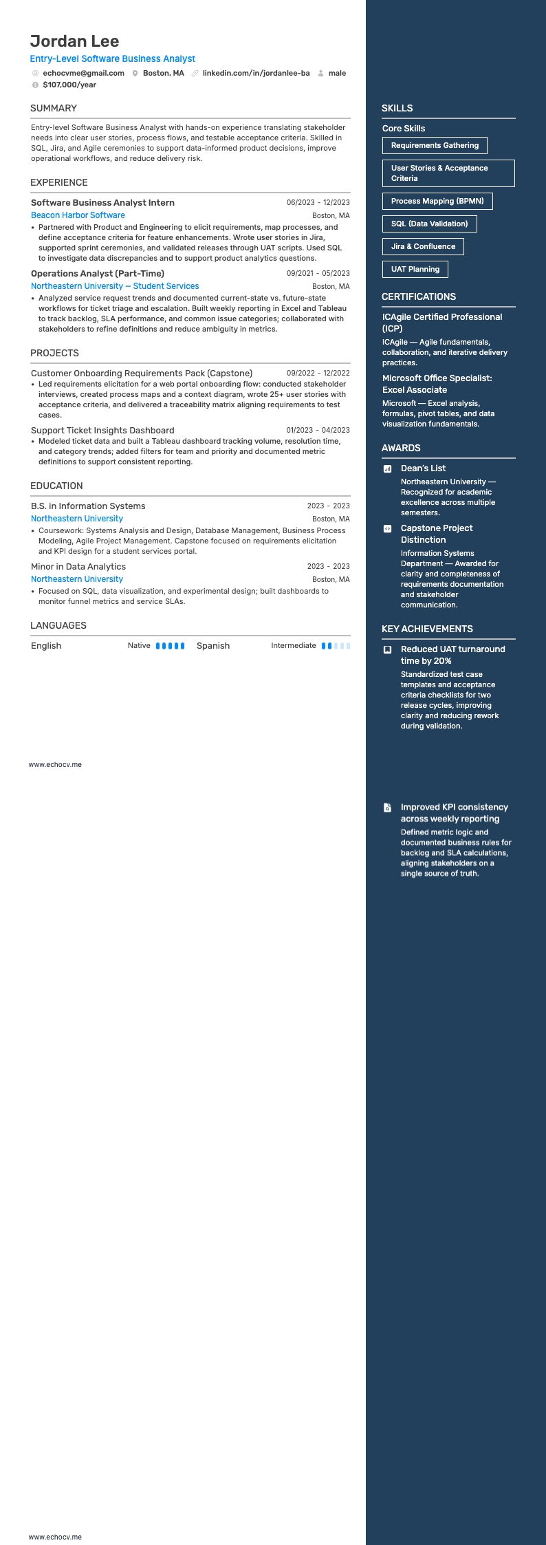 Analista de Negócios de Software Júnior example resume