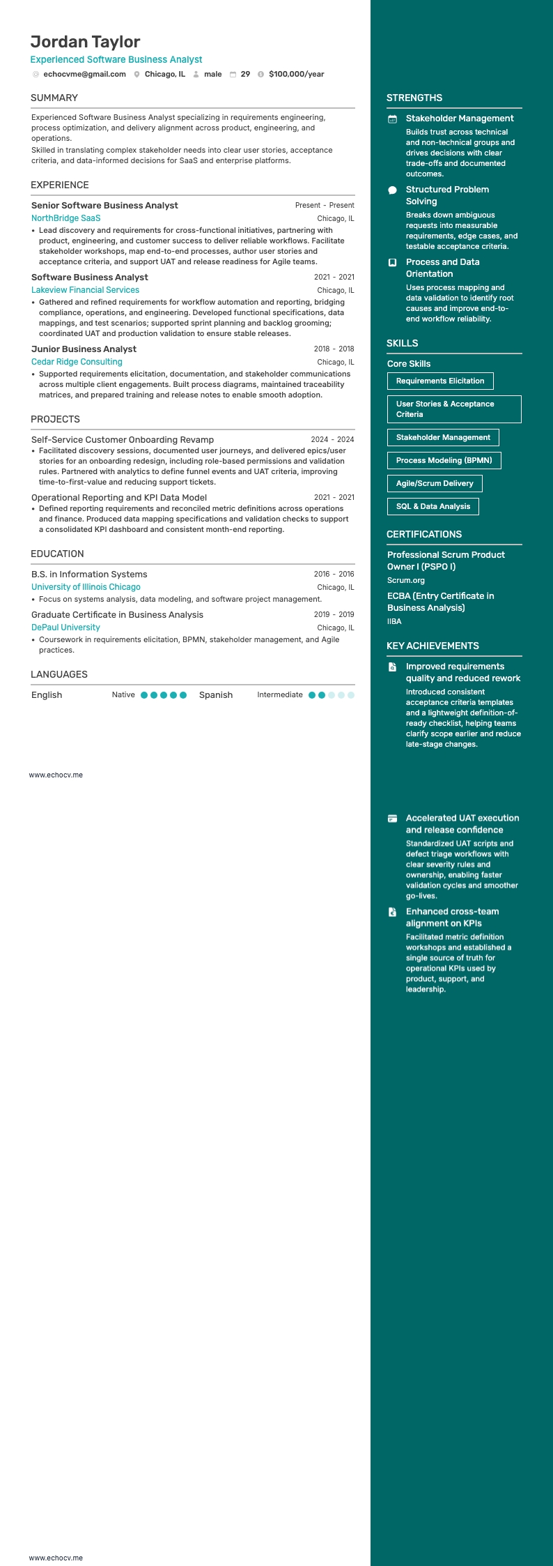 Analista de Negócios de Software resume example