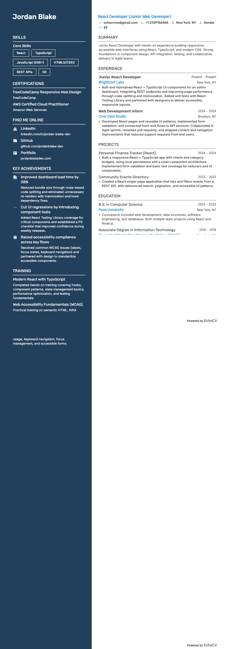 React Developer example resume
